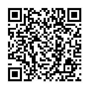 第一个动作便是飞快地躲进了有屋顶罩着的食堂里面二维码生成