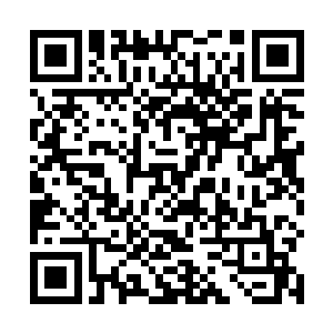 第一个原因是崔离在当地有上百倾家中留下的田地山林二维码生成