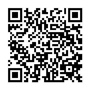 第一个反应就是把储物袋丢给对方――欢迎阁下劫财二维码生成