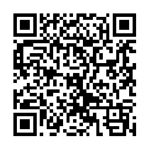 第一个反应肯定是独自一人行动……完全不会跟人同盟二维码生成