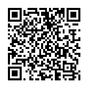 第一个回合的较量显然是以龙傲天的胜出而告终二维码生成