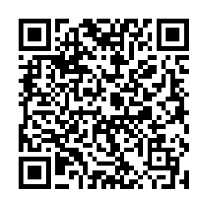 第一个感觉就是什么玩意儿在自己的身上跳来跳去的二维码生成