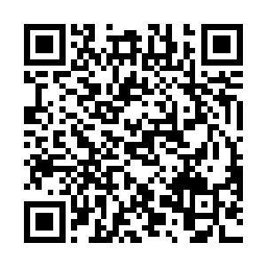 第一个非绝世强者却没有在绝世强者面前主动认输的人二维码生成