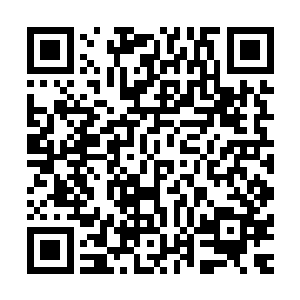 第一件事情是束河古镇老大两个传说中已经死了的儿子回来了二维码生成