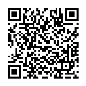 第一刀就斩中了他位于脖子下方七寸处的龙之逆鳞二维码生成