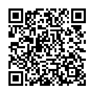 第一名新人王可是有一颗三阶魔核作为奖励的哦二维码生成