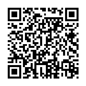 第一场比赛在上元盟独步和丹宗大修士之间进行二维码生成