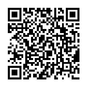 第一季的成功让她真正意义地出现在了媒体镜头之内二维码生成