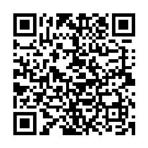 第一批到上古丹宗的修士大概在月中或是接近月末就要离开了二维码生成