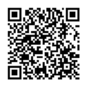 第一支预告片也迅速登陆所有可以播放视频的媒体平台二维码生成