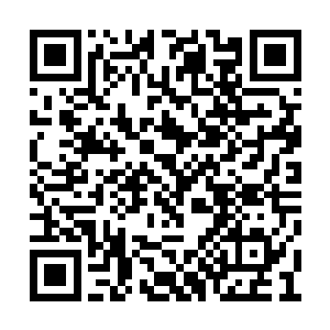 第一时间伸出油腻的爪子从朱平安手中抽走银票二维码生成