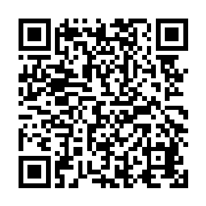 第一是为了让夏乾坤多了解一下现在中三界的风土文化二维码生成
