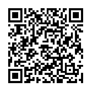 第一是被怪物杀死……现在外面可能到处都是怪物二维码生成