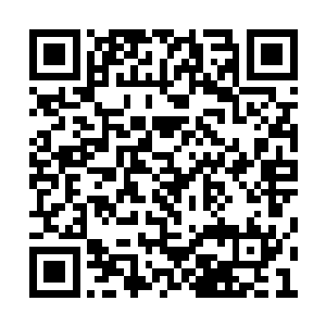 第一期近四百册灵武期刊被分别装进了快递袋中二维码生成