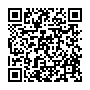 第一次修炼出浩然正气激活脑海中的系统的时候二维码生成
