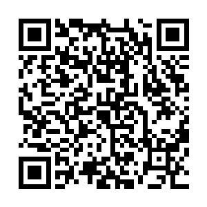 第一次到本会所消费的客人可以免费赠送一张普通vip会员卡二维码生成