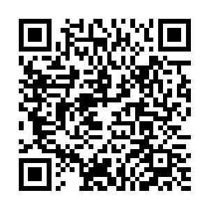 第一次对家主看上的女人表示发自内心的叹服――牛掰二维码生成