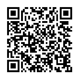 第一次就是她把我从黄杰他们四龙手中保下来的二维码生成