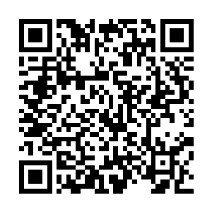 第一次强烈地感觉到原东园为何能够靠名声震慑到江湖众人二维码生成
