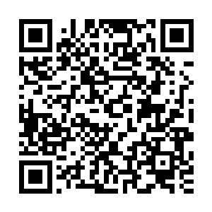 第一次我便深深的记住了这个当年葬亲自布下的九天轮回大阵二维码生成