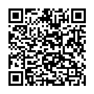 第一次有么多评论和赞誉……辣椒无法做到淡然处之二维码生成