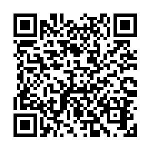 第一次没有动用水晶球的力量叫停傀儡战偶的攻击二维码生成