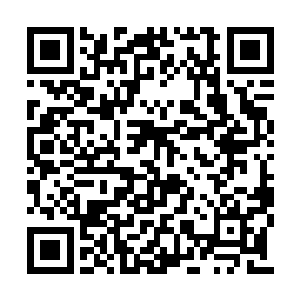 第一次用鸟枪……马德宝和他的将官们你看看我二维码生成