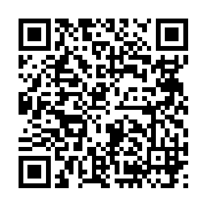 第一次登台夏季赛解说的小楼赛前明显做足了功课二维码生成