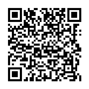 第一次见到了那位得到太古启示的图灵族大长老二维码生成