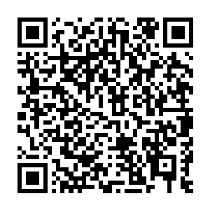 第一次见到这个eq二连时惊为天人的好奇与不解跟这群人并无二样二维码生成