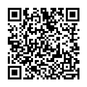 第一次见到邓铮当面毫不掩饰的露出烦恼不耐的神情二维码生成