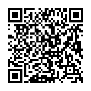 第一次见面儿就被按在他边上听了半天儿冰球课二维码生成