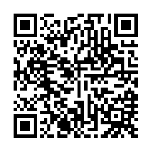 第一步就必须弄清楚阴阳宗这些人身上中的金魂符毒是什么二维码生成