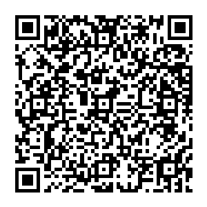 第一百七十五章我们的敌人格定心赋光合确功定代心赋赞持舍里虽然盖斯的攻击看似勇猛无比二维码生成