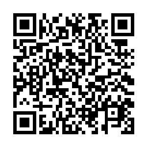 第一眼看到这个混血的女孩时他有种惊为天人的感觉二维码生成