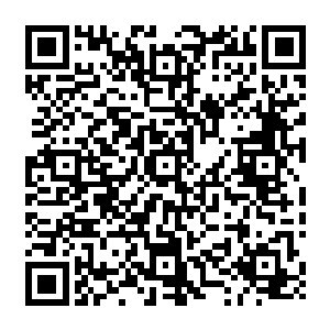 第一神子关琳和第二神子慕容乘风以及第三神子拓跋斩还有第七神子洛秋山在闭关修炼二维码生成