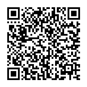 第一辆载着何安等人的密封式大卡车最先开出深山里的特种兵训练基地二维码生成