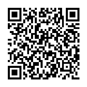 第一阶段的工作是诱导出钾通道基因缺陷的果蝇二维码生成