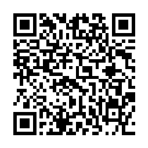 第一项体能项目好死不死的抽到了这个一百五十公里耐力赛二维码生成