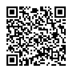 第七天河仙府具体模样血妖姬们一行并没有一观的机会二维码生成