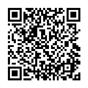 第七战将来到地球之后的第一个目标就是清除修真者二维码生成