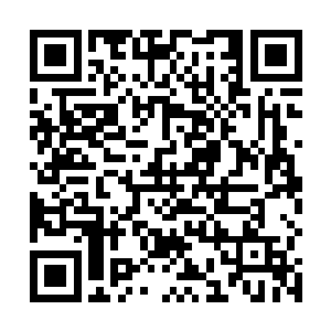 第三个条件是要求咱们家交出远在滇西草原避难的信王二维码生成