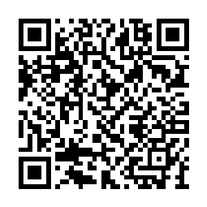 第三把一开始便是将自己手里的筹码都推了出去二维码生成