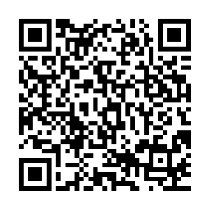 第九区公爵和第十一区公爵一左一右各自化为了一道漆黑的流光二维码生成