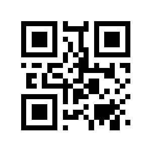 第九段二维码生成