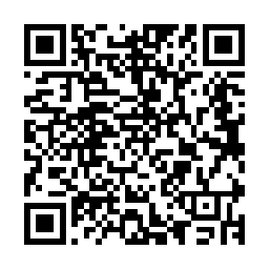 第九装备科的直属上级铁角军团后勤部综合后勤支援处是一方二维码生成