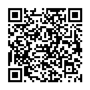 第二个作用便是万界之中只有人族医家才能掌握的能力二维码生成