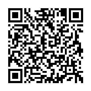 第二个发现铮哥哥你是饰演张丹枫的最佳人选呢二维码生成