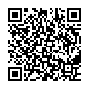 第二个是让你必须得认识到自己指使白家兄弟诬告公司的错误二维码生成