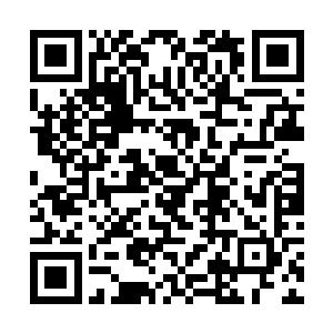 第二十九分钟首发出场的贝尔巴托夫为曼城先拔头筹二维码生成